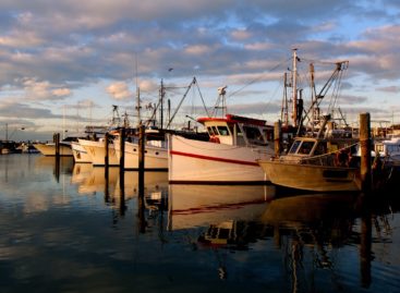 La norme repérage amiante à bord des navires est publiée