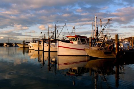 Repérage amiante à bord des navires : les conditions d’accréditation précisées par arrêté