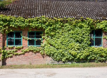 Pas de fiscalité réduite pour les travaux de désamiantage en dehors des habitations